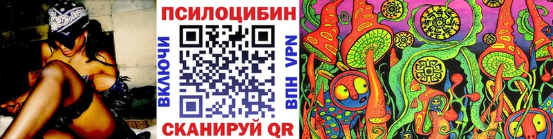 omg маркетплейс  где купить наркотик  Рудня  Псилоцибиновые грибы мухоморы 